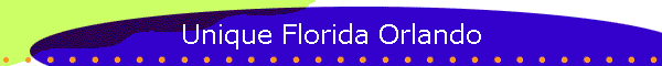 Unique Florida Orlando